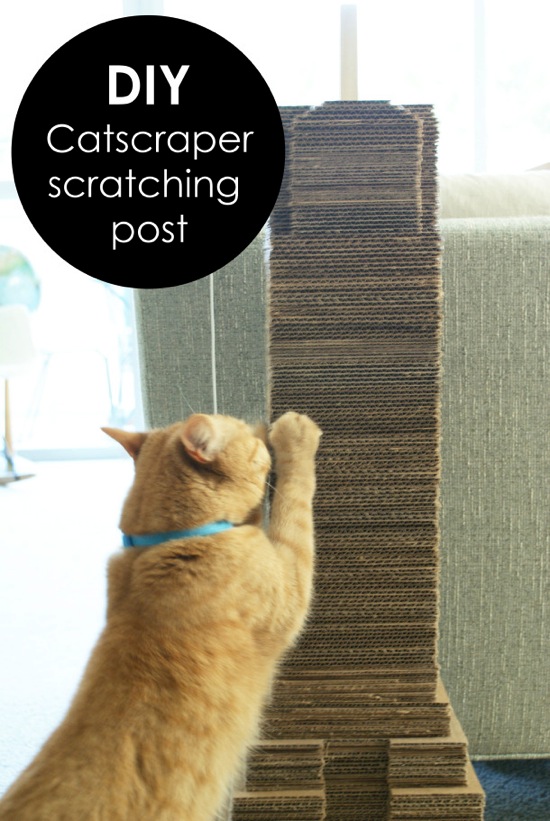 DIY Catscraper Cat Scratching Post Maison Kuotidien